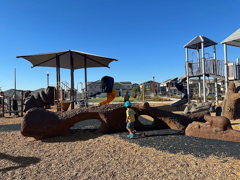 Adreani Park in Arnold, California