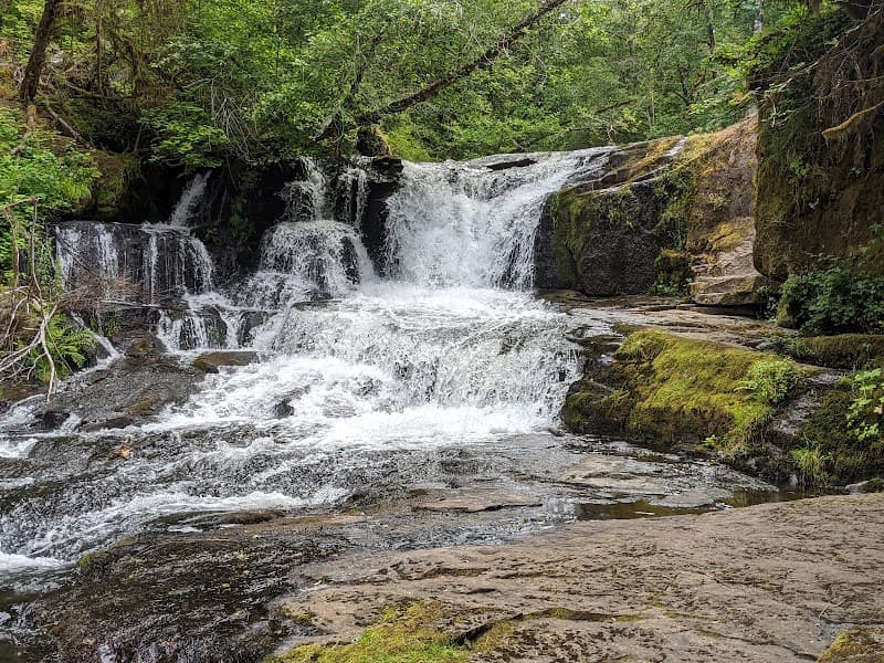Alsea Falls Recreational Site in Monroe, Oregon