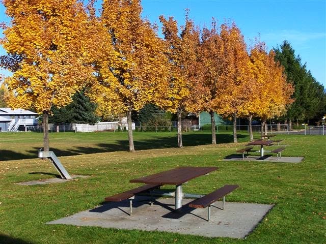 Browns Park Splash Pad splash pad