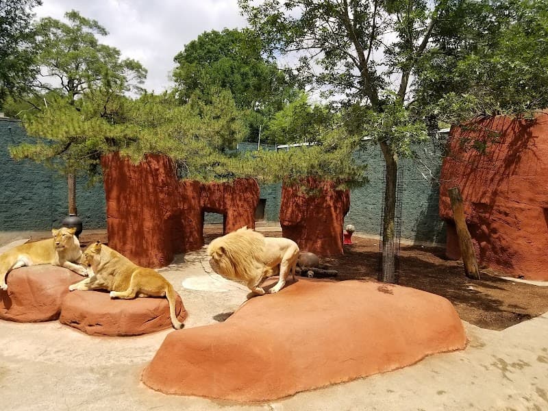 Capron Park Zoo Splash Pad in Attleboro, Massachusetts