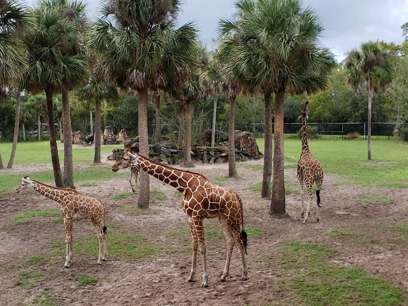 Jacksonville Zoo & Gardens Splash Pad splash pad
