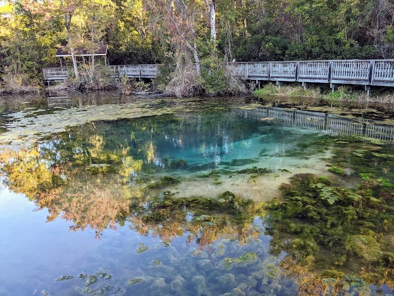Magnolia Springs State Park Splash Pad in Millen, Georgia