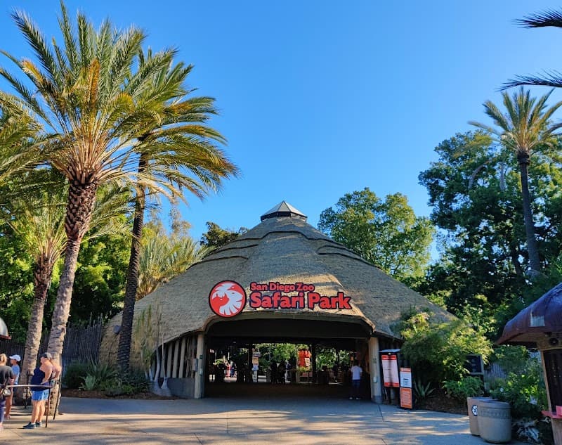 Safari Park Splash Pad - Balloon Area in Escondido, California