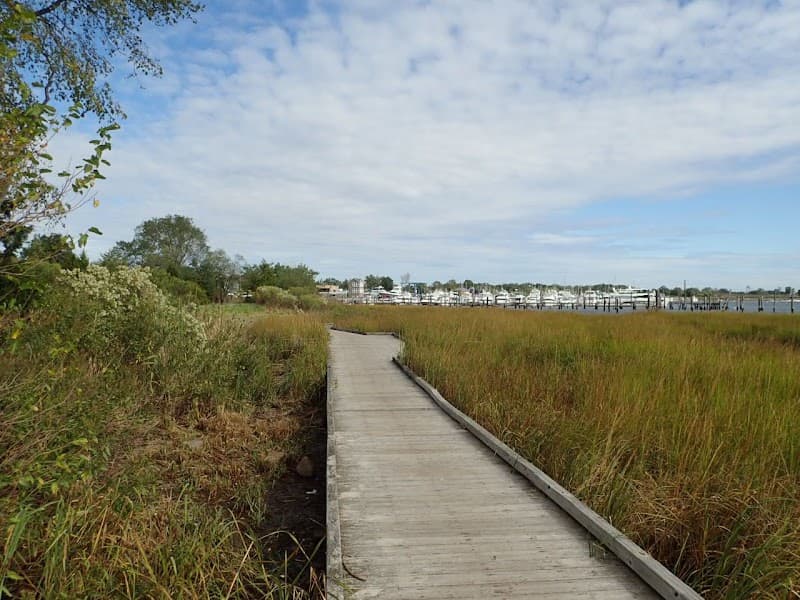 Seaside Wildlife Nature Park Playground splash pad