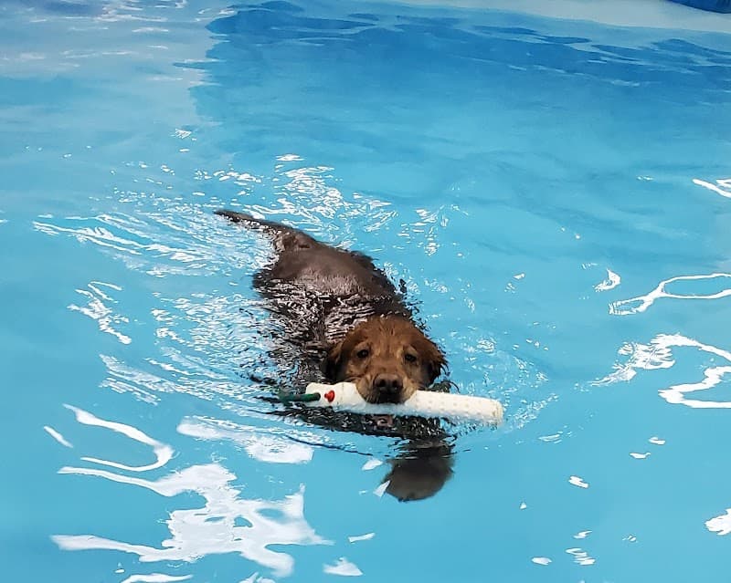 The Water Bark LLC splash pad