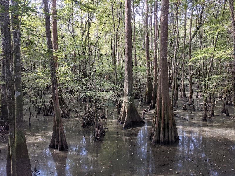 Water Playground in Livingston, Louisiana