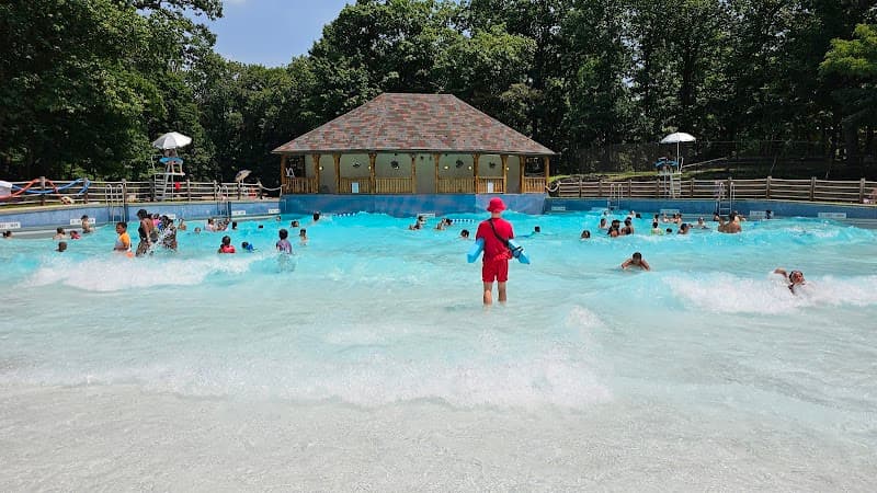 Willson's Waves in Mt Vernon, New York